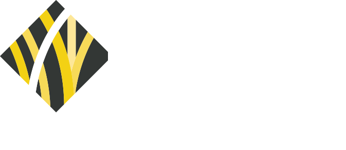 IFBD - Institute for Business Development